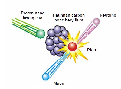 Sự tạo thành một neutrino và một muon
