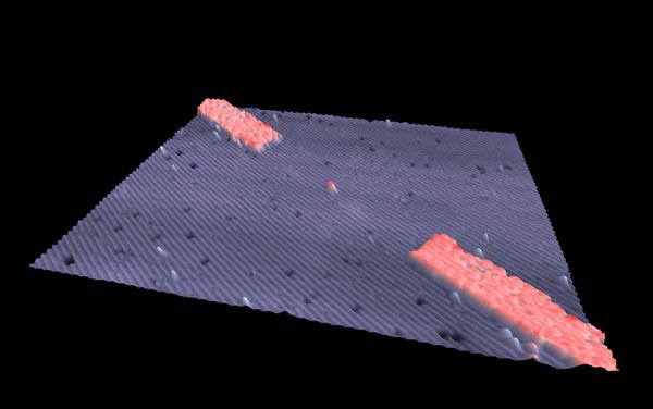 Ảnh hiển vi chui hầm quét phối cảnh 3D của một bề mặt silicon đã hydro hóa