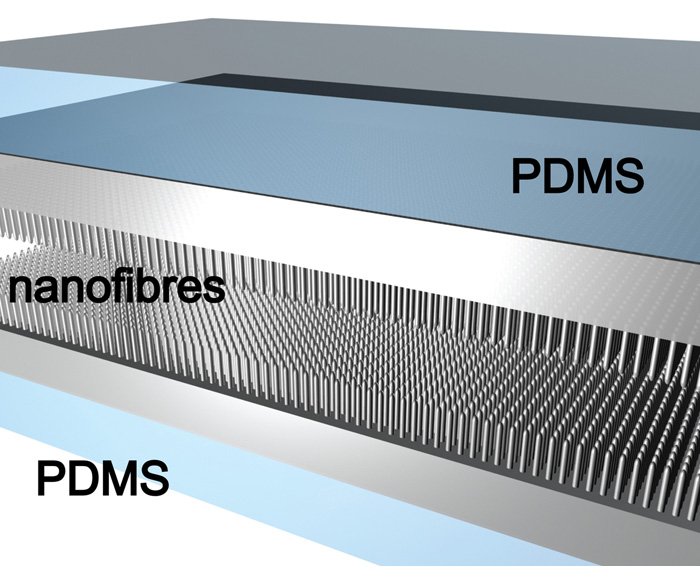 Hình minh họa hai lớp polymethylsiloxane dẻo (PDMS) tráng platinum và những lớp sợi nano bên trong mỗi tấm, tạo nên bộ cảm biến. 