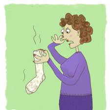 Phải chăng sự ngửi là một hiệu ứng lượng tử? Phải chăng sự ngửi là một hiệu ứng lượng tử?