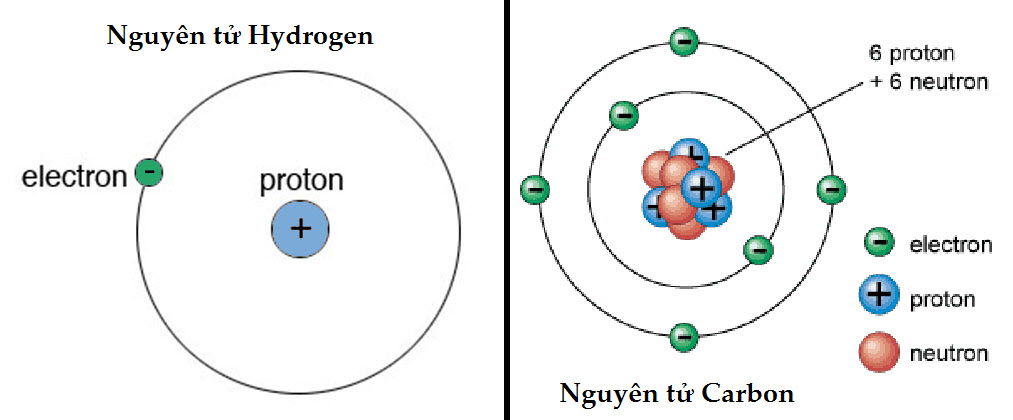 Hydrogen và carbon