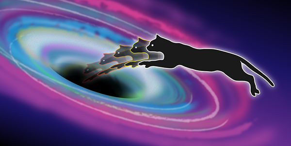 Cái gì sẽ xảy ra nếu người ta ném một con mèo Schrödinger vào trong một lỗ đen?