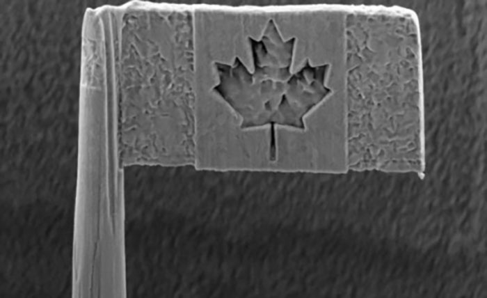 Ảnh chụp hiển vi điện tử của lá cờ Canada nhỏ xíu Ảnh chụp hiển vi điện tử của lá cờ Canada nhỏ xíu