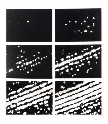 Giao thoa electron độc thân tại Bologna Giao thoa electron độc thân tại Bologna