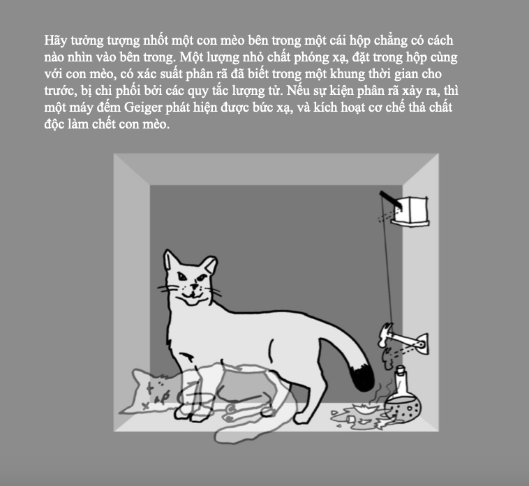 Con mèo Schrödinger