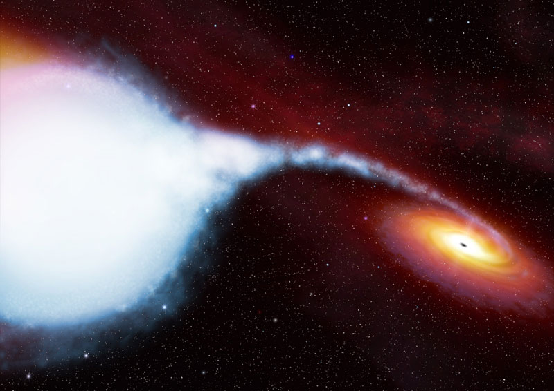 Lỗ đen nổi tiếng được xác nhận sau 40 năm nghi ngờ