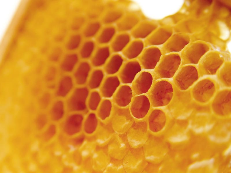 Cấu trúc tổ ong giúp sản xuất điện từ năng lượng mặt trời