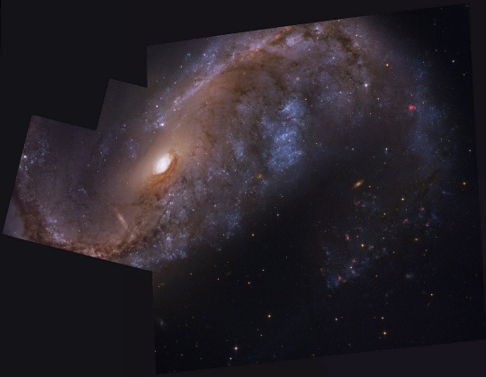 NGC 2442: Thiên hà Chàng đánh cá 
