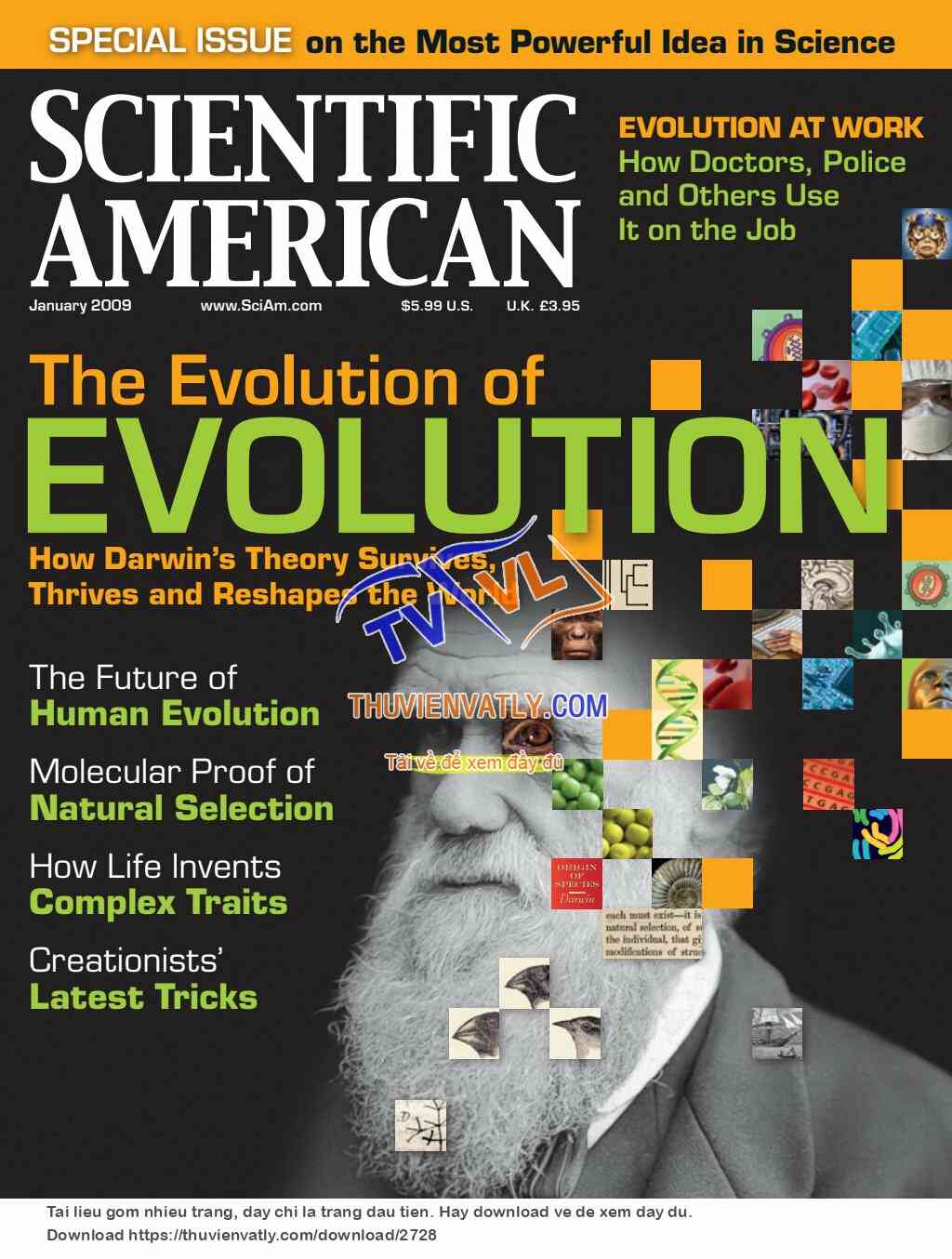 Scientific American Januaray 2009