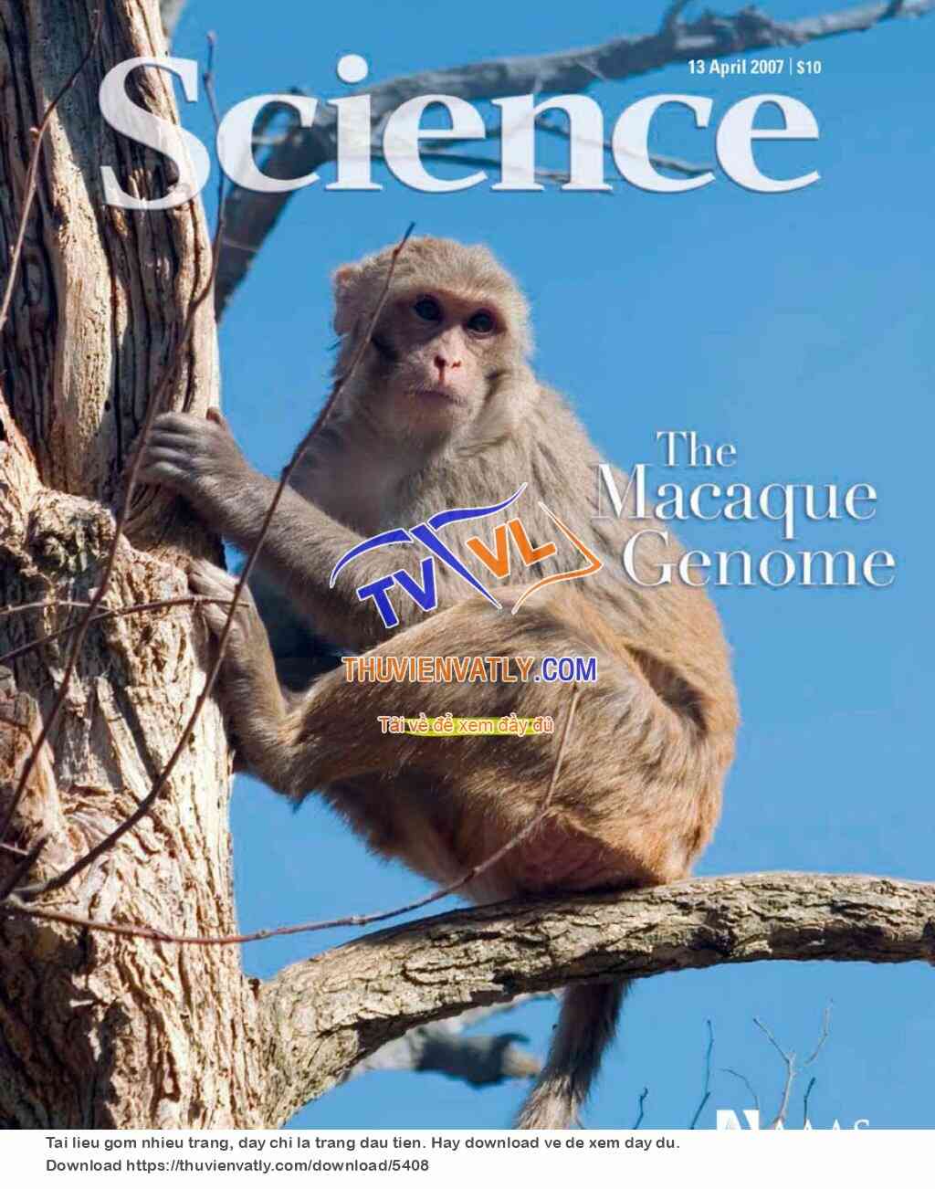 Science Magazine_2007-04-13