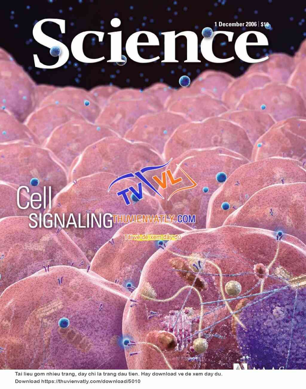 Science Magazine_2006-12-01