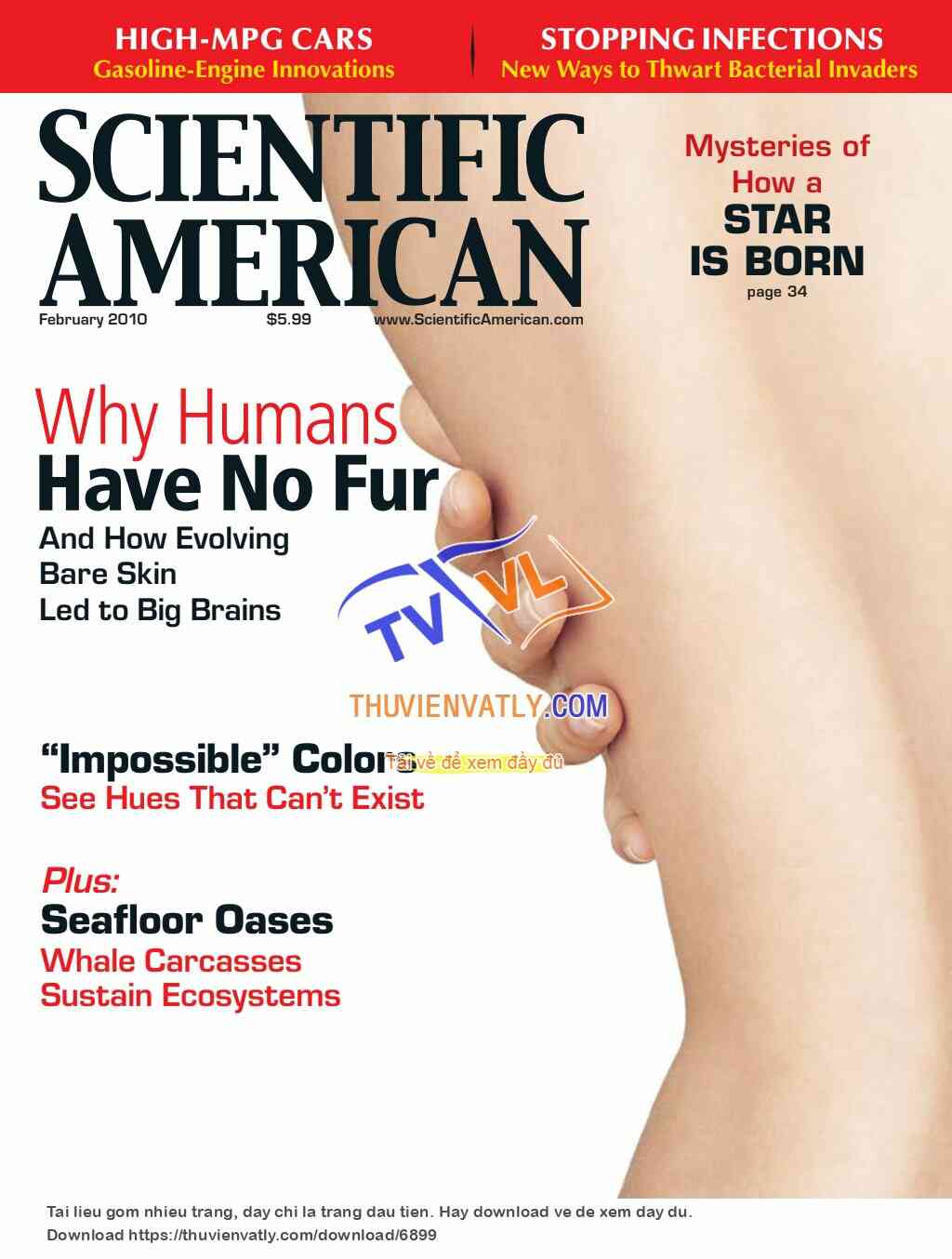 Scientific American - February 2010