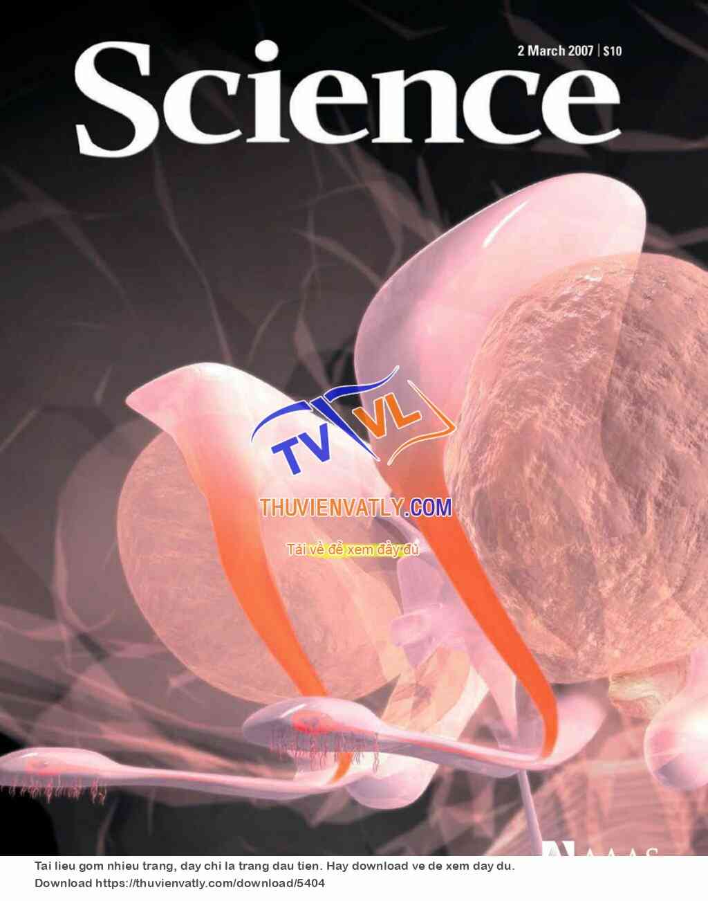 Science Magazine_2007-03-02