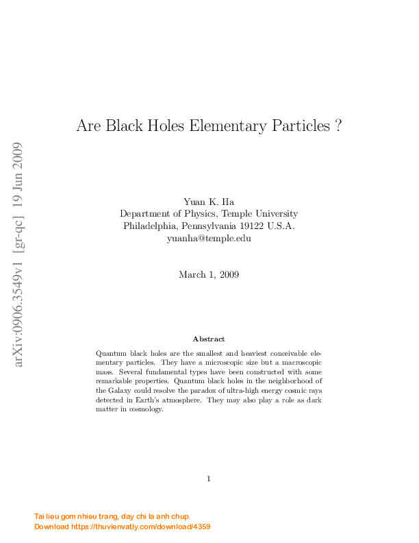 Are Black Holes Elementary Particles ?